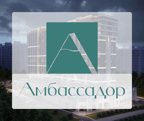 Программа лояльности Амбассадор